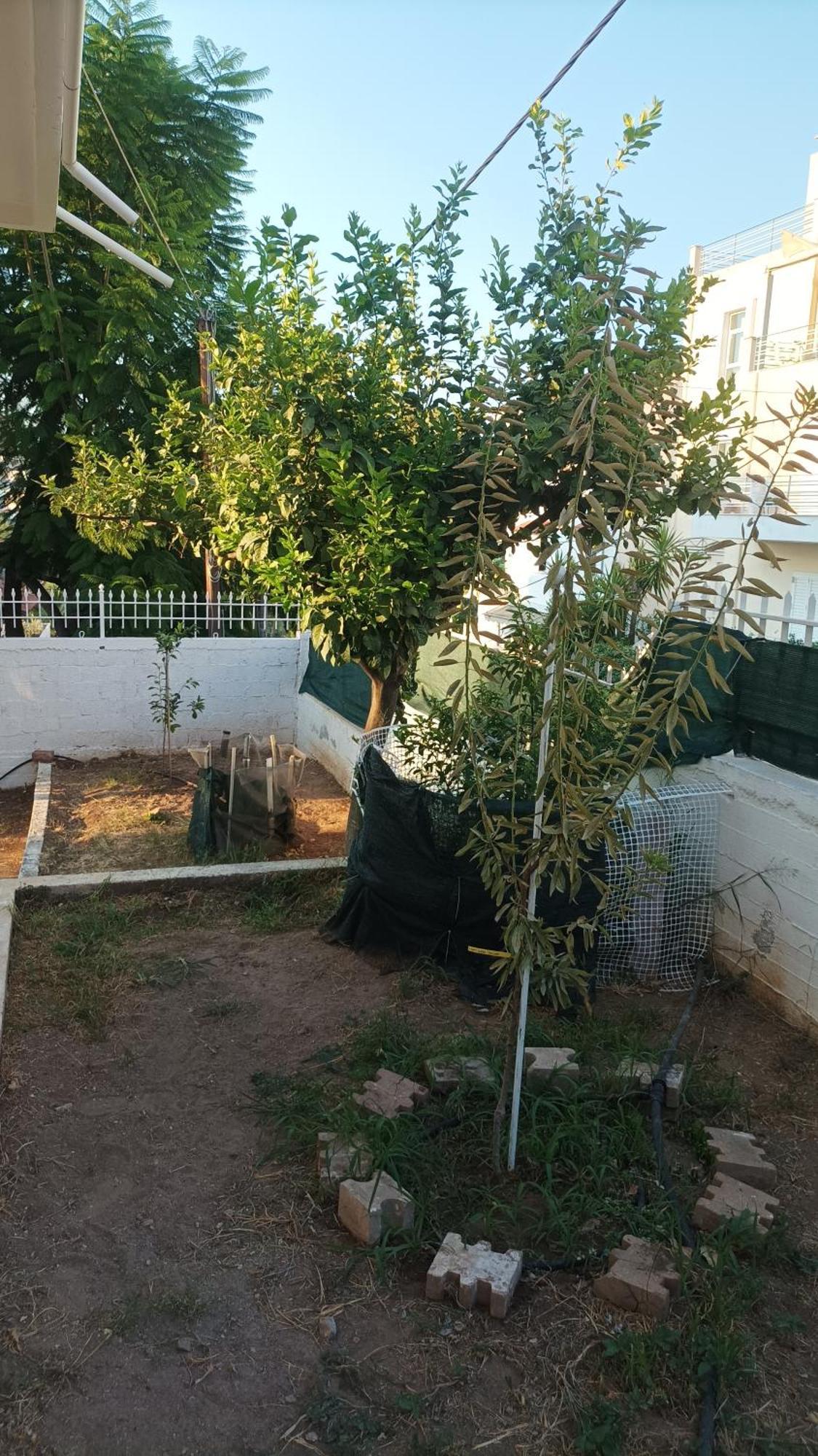 Villa Chalkis Exterior foto